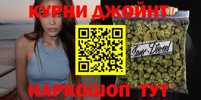 бошки Кингисепп