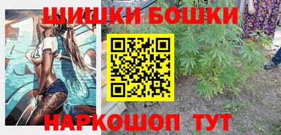 бошки Кингисепп