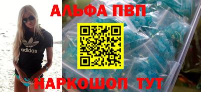 бошки Кингисепп