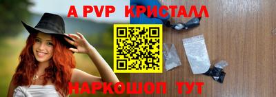 бошки Кингисепп