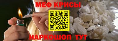 бошки Кингисепп
