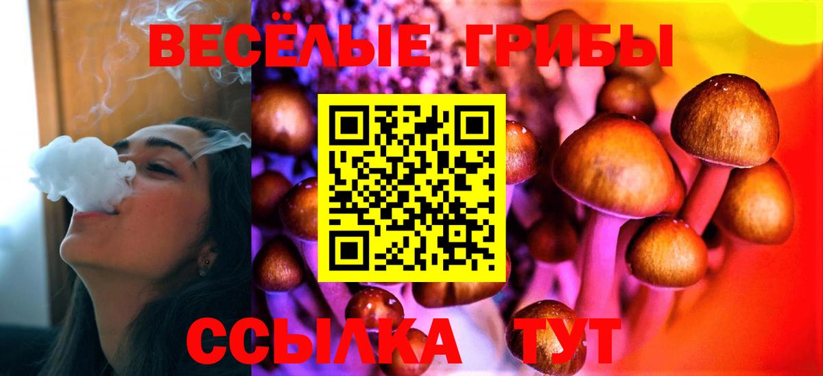 Галлюциногенные грибы Psilocybe  Вход с VPN  Галлюциногенные грибы мицелий  Волхов 